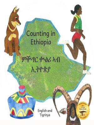 cover image of Counting in Ethiopia